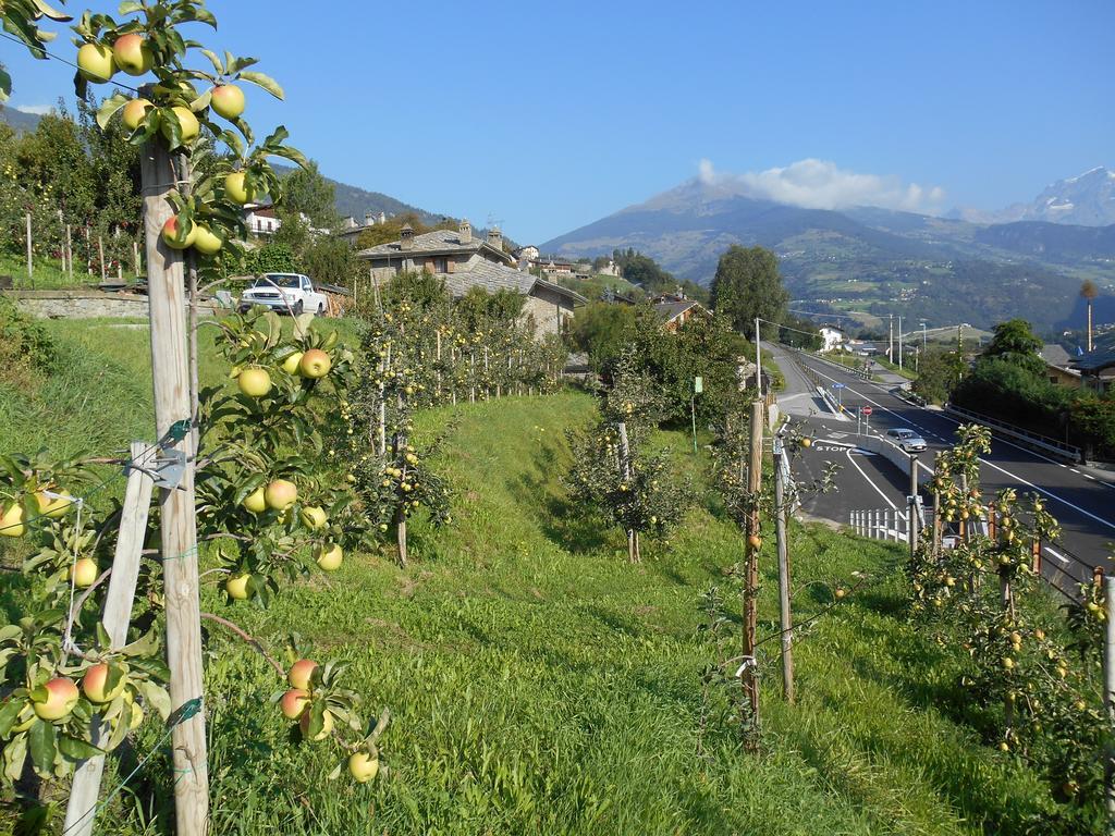 B&B Les Fleurs Gignod ภายนอก รูปภาพ