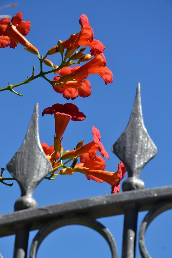 B&B Les Fleurs Gignod ห้อง รูปภาพ